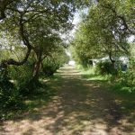 Emplacement calme et nature au camping de Keremma finistere